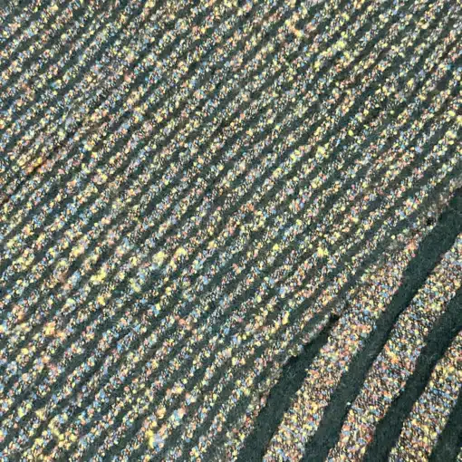 Missoni Scarf - Vintage 100% Wool Missoni Scarf - Image 2