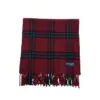 Super Soft Lightweight Burberry London 100% Cashmere Scarf for Women