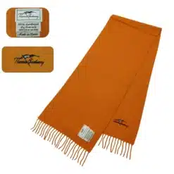 thomas burberry vintage scarf